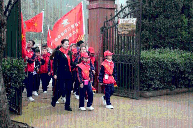 凤凰不好惹